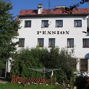 Pension Doctor Dvůr Králové nad Labem Exterior photo