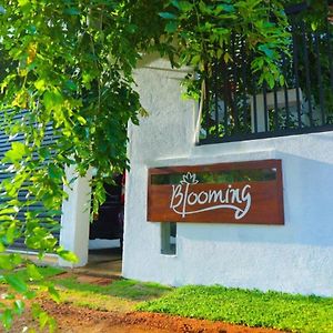 Blooming Holiday Resort Anuradhapura Exterior photo