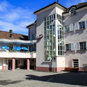 Schweizerhof Otel Mels Exterior photo