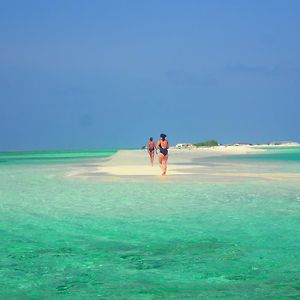 Chill Holidays Maldives Maamigili Exterior photo