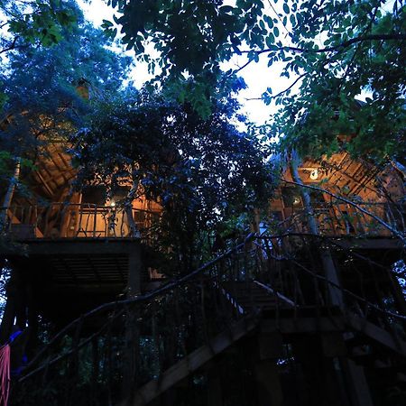 Habarana Tree House Mutu Village Dış mekan fotoğraf