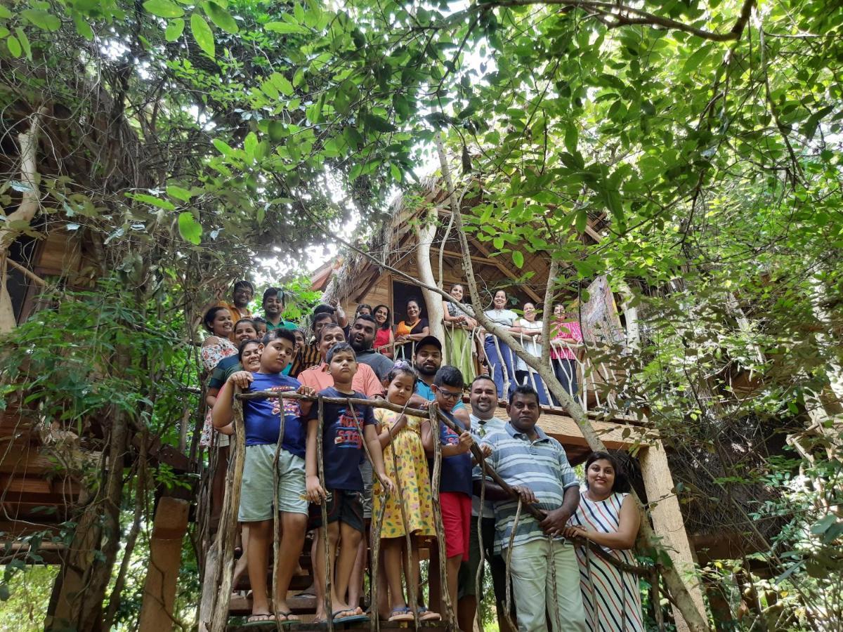 Habarana Tree House Mutu Village Dış mekan fotoğraf