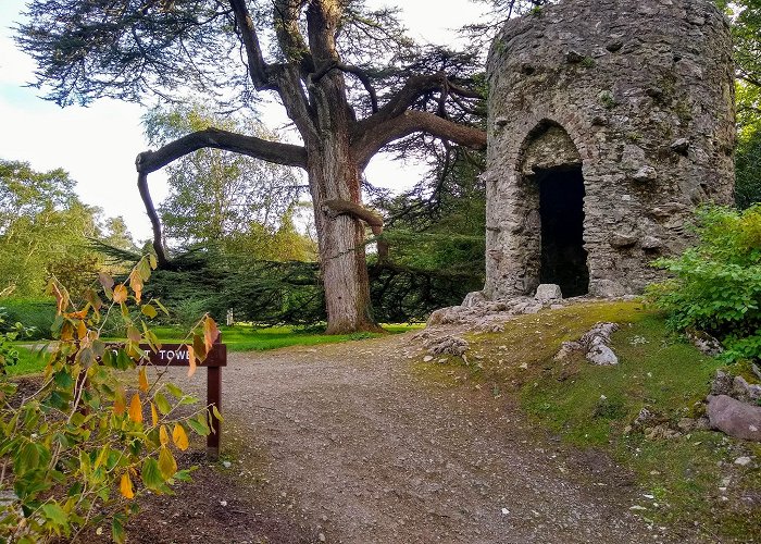 Blarney Castle photo