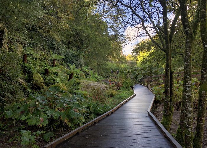 Blarney Castle photo