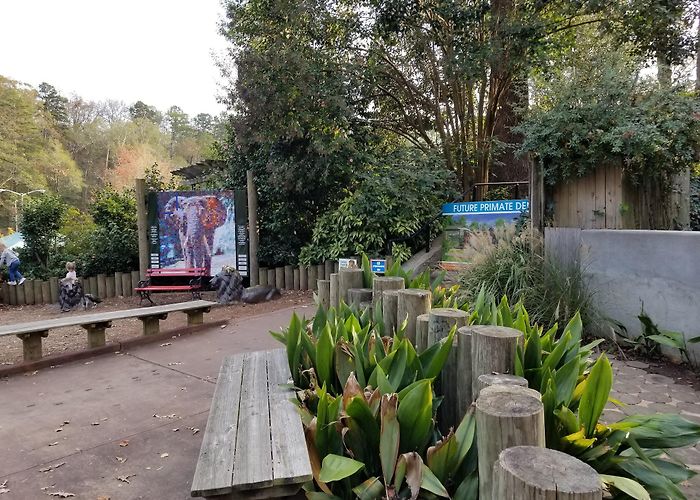 Greenville Zoo photo