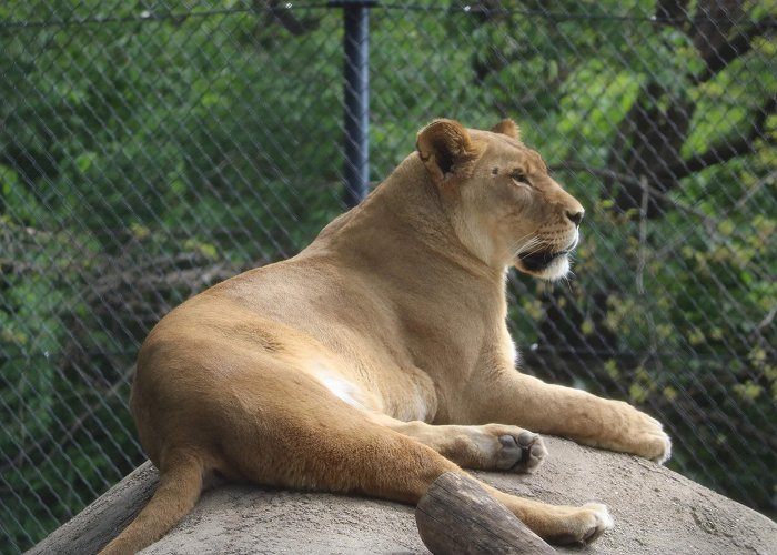 Indianapolis Zoo photo