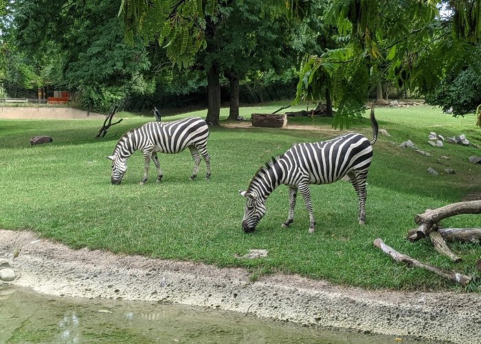 Indianapolis Zoo photo