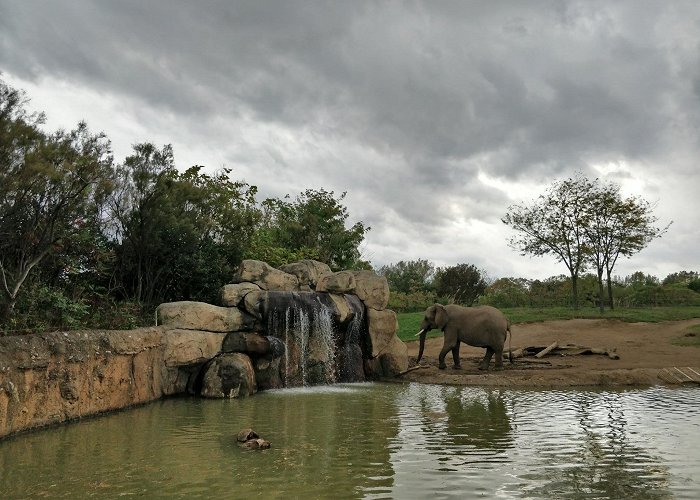 Indianapolis Zoo photo