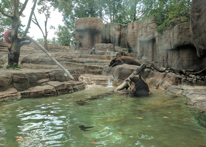 Indianapolis Zoo photo
