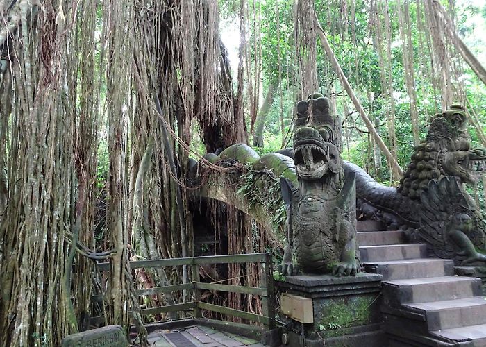Ubud Monkey Forest photo