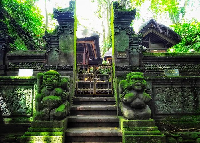 Ubud Monkey Forest photo