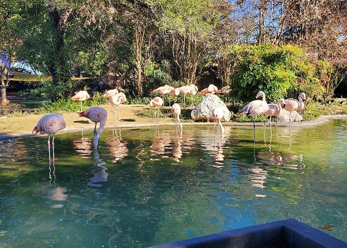 SeaWorld San Antonio photo