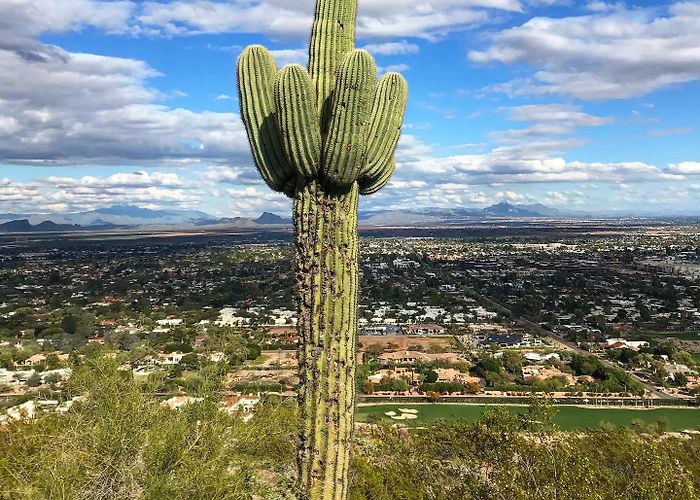 Camelback Mountain photo