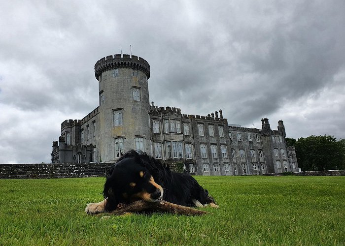 Dromoland Castle Golf Club photo