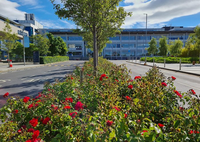 Dublin City University photo