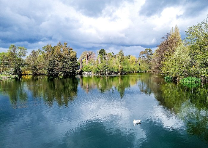 Dublin Zoo photo