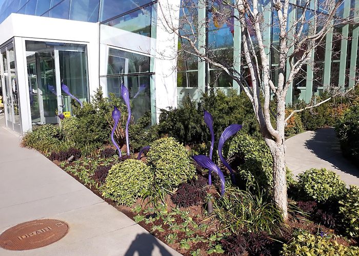 Chihuly Garden and Glass photo