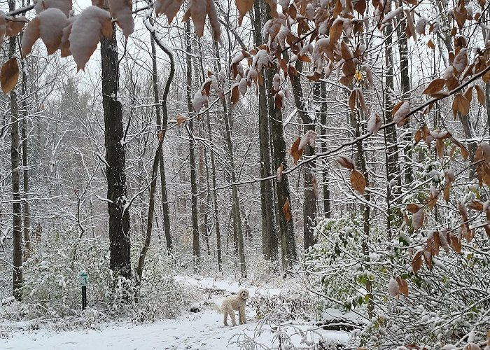 Eagle Creek Park photo