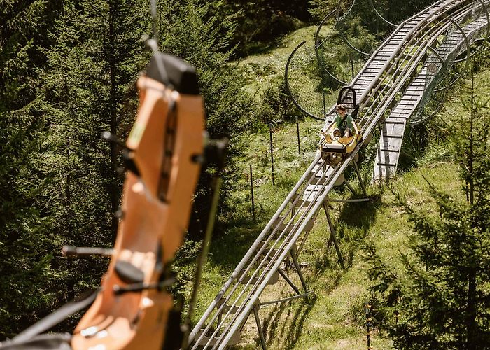 Alpine Coaster Alpine Coaster Fun & Facts | IMSTER BERGBAHNEN photo