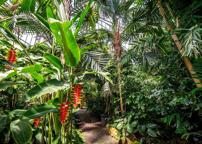 Botanischer Garten Heidelberg Botanical Garden photo