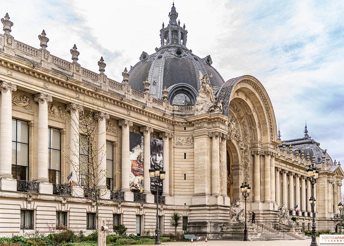 Petit Palais The Petit Palais in Paris and its hidden treasures, the free ... photo