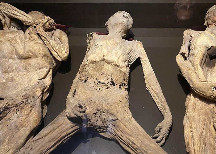 The Mummies of Guanajuato Museum The Haunting and Horrific Mummy Museum of Guanajuato photo