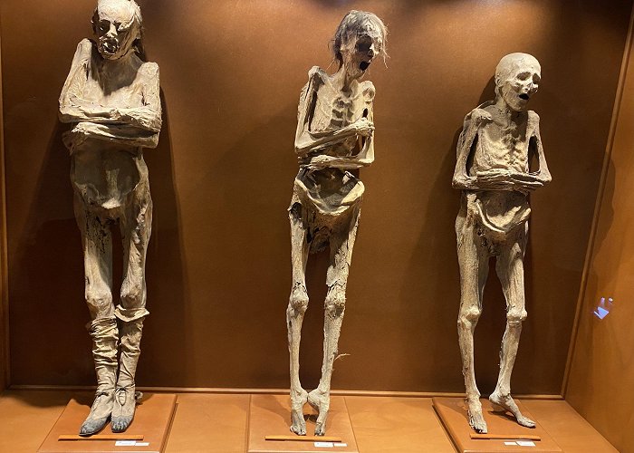 The Mummies of Guanajuato Museum The Haunting and Horrific Mummy Museum of Guanajuato photo
