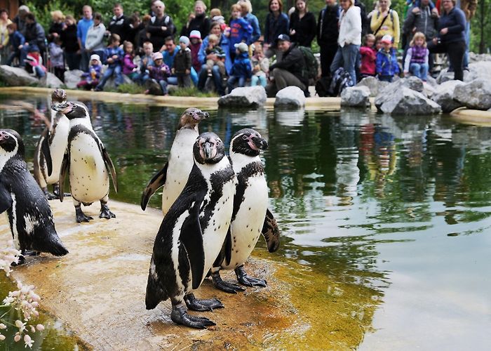 Tierpark Sababurg Tierpark Sababurg photo