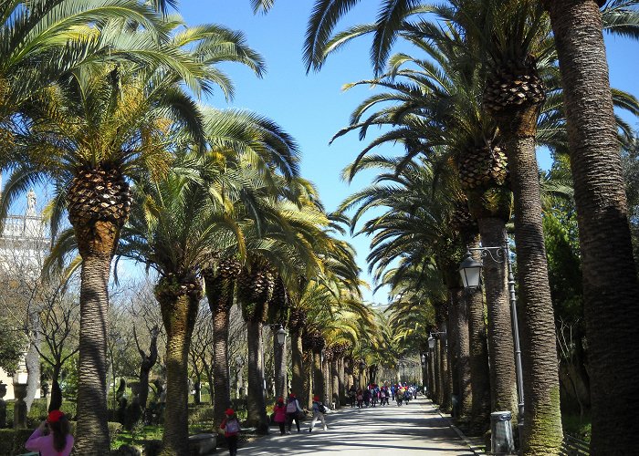 Giardini Iblei Things to Do in Ragusa in 2024 | Expedia photo
