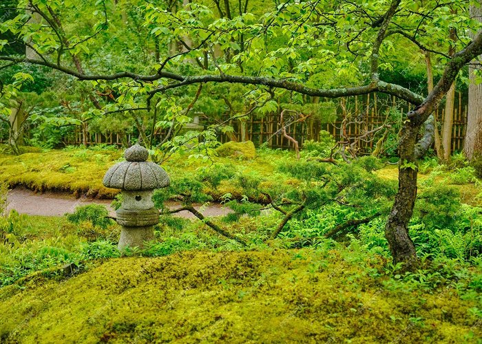 Clingendael Premium Photo | Japanese garden park clingendael the hague netherlands photo