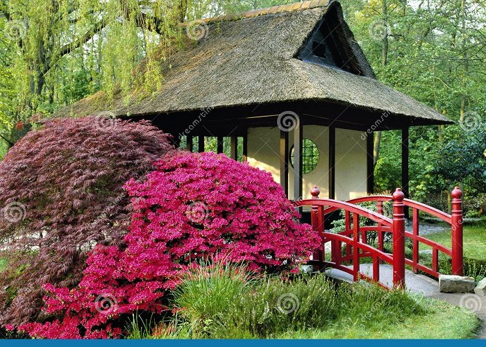 Clingendael Japanese Garden, Park Clingendael, the Hague Stock Photo - Image ... photo