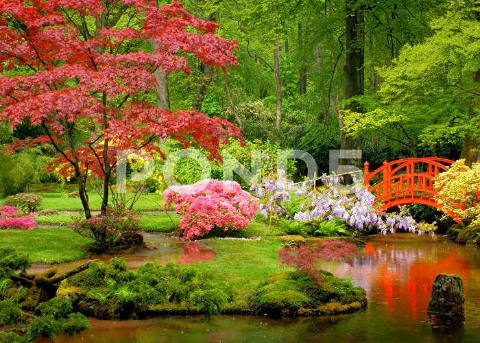 Clingendael Japanese garden, Park Clingendael, The H... | Stock Video | Pond5 photo
