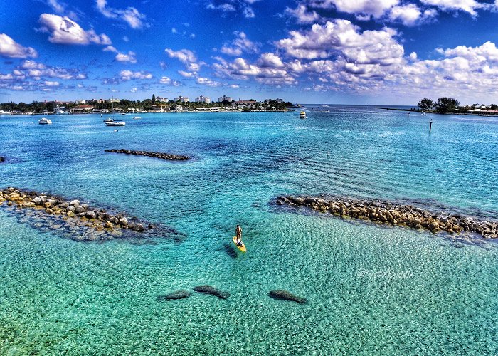 Peanut Island Paddle boarding with manatees at Peanut Island, West Palm Beach ... photo