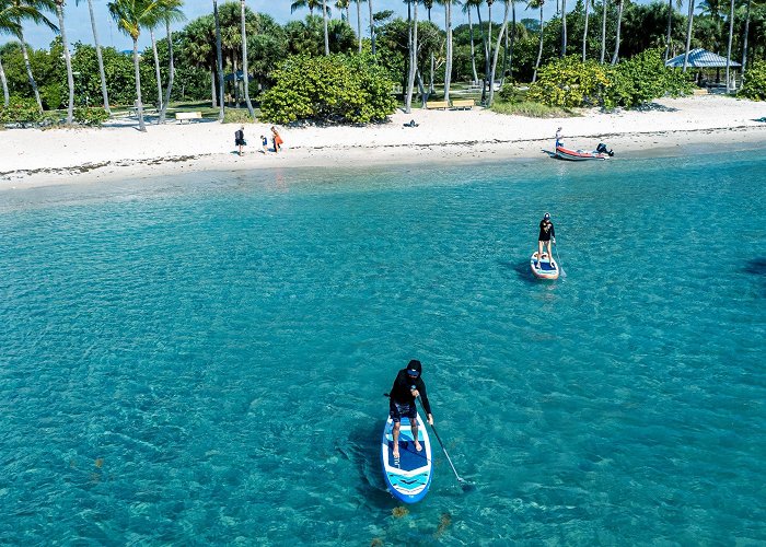 Peanut Island Peanut Island- Snorkeling and Other Things to Do | Live Free Diving photo