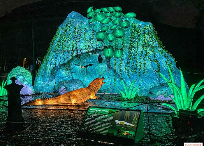 Jardin des Plantes Illuminating the jungle: our photos of the 2023 Festival of Lights ... photo