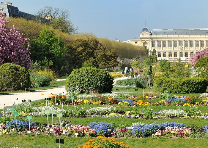 Jardin des Plantes Jardin des Plantes, Paris, France - Activity Review | Condé Nast ... photo