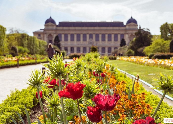 Jardin des Plantes 8 little-known treasures to discover at the Jardin des Plantes in ... photo