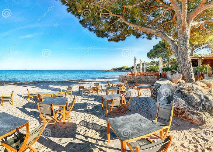 Palombaggia Beach Fabulous View of Palombaggia and Tamaricciu Beaches from Bar ... photo