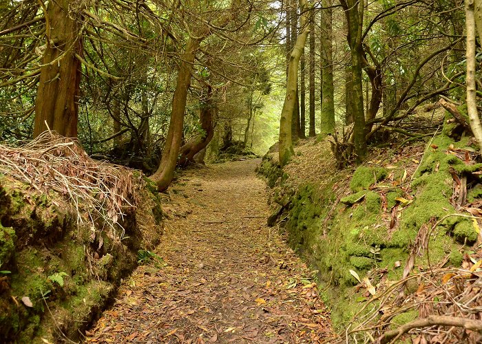 Dun na Si Heritage & Genealogical Centre Dún na Sí Heritage Park | Athlone, Ireland | Attractions - Lonely ... photo