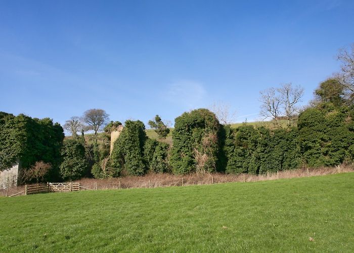 Blackdown Rings Visit Ivybridge: 2024 Travel Guide for Ivybridge, Devon | Expedia photo