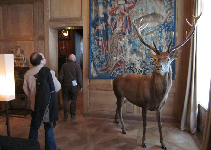 Hunting Museum Musée de la Chasse et la Nature (museum of hunting and nature ... photo