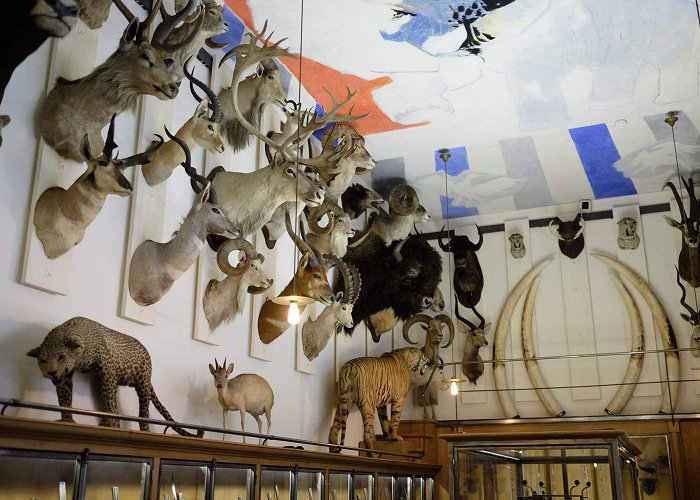 Hunting Museum Musée de la Chasse et de la Nature – Museum of Hunting and Nature ... photo