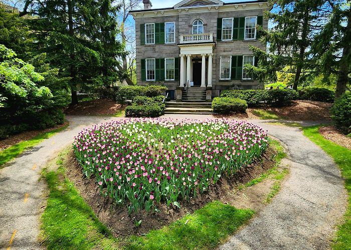 Hamilton Whitehern Museum May Flowers : r/Hamilton photo