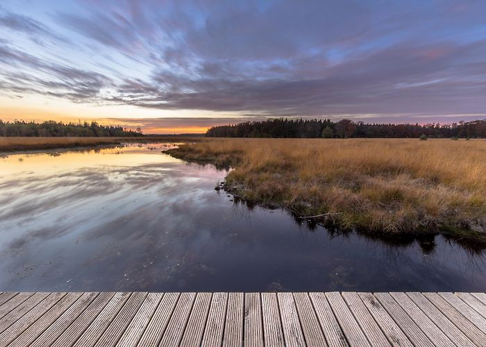 Stadsbroek Visit Assen: 2024 Travel Guide for Assen, Drenthe | Expedia photo