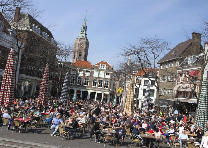 Grote Markt Grote Markt, The Hague, Netherlands – Notes from Camelid Country photo