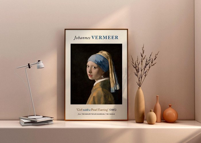 Childrenbooks Museum Johannes Vermeer Print Girl With a Pearl Earring 1665, Aesthetic ... photo