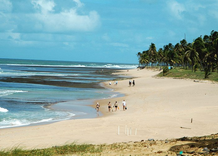 Guarajuba Beach Praia Do Forte & Guarajuba Beach Day Trip photo