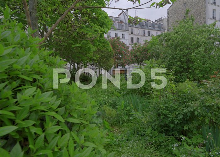Jardin Villemin Paris Jardin Villemin, urban nature gree... | Stock Video | Pond5 photo