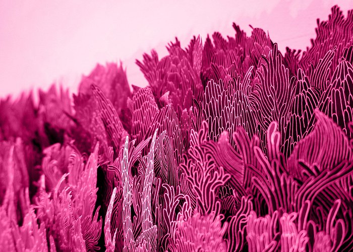 Nouvelles Images Ai Hashimoto - Visual artist - Landscape after Pink Tsunami photo