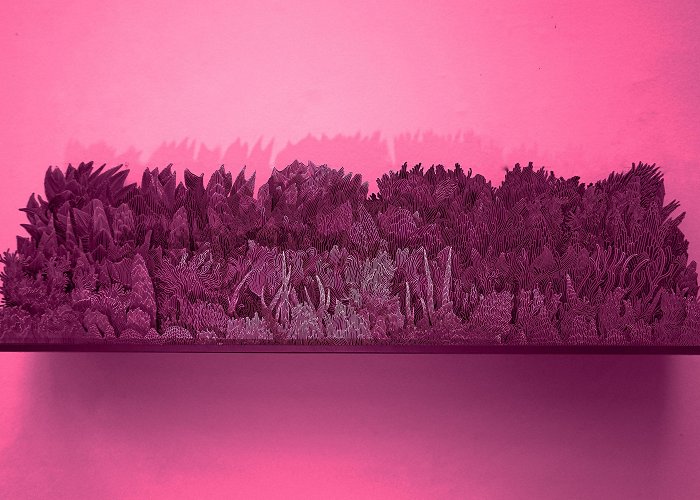 Nouvelles Images Ai Hashimoto - Visual artist - Landscape after Pink Tsunami photo